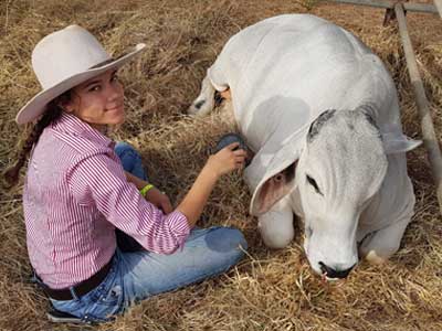 Young woman attending to a cow